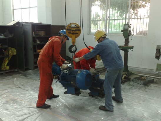 海洋石油富島有限公司一期大修機組、扒料機、安全閥及電機技術(shù)服務(wù)項目(圖2)